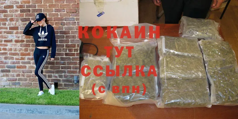 Cocaine VHQ  Кадников 